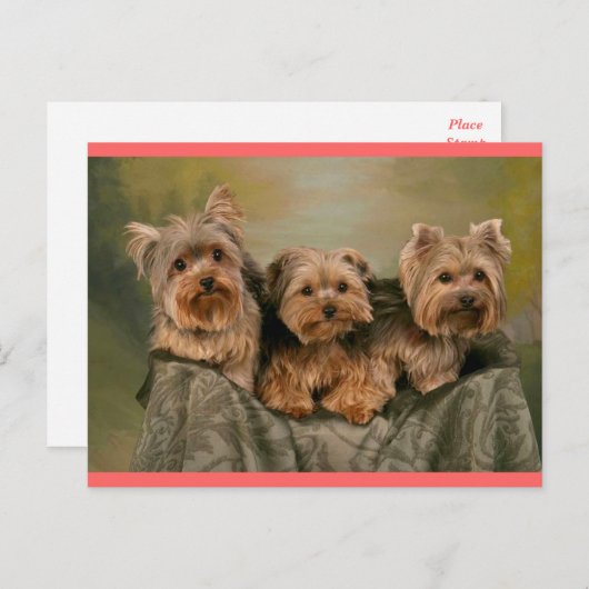 Yorkshire Terrier Puppy Dog Greeting Briefkaart (Voorkant / Achterkant)
