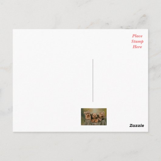 Yorkshire Terrier Puppy Dog Greeting Briefkaart (Achterkant)