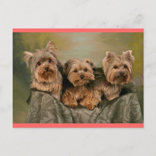 Yorkshire Terrier Puppy Dog Greeting Briefkaart (Voorkant)