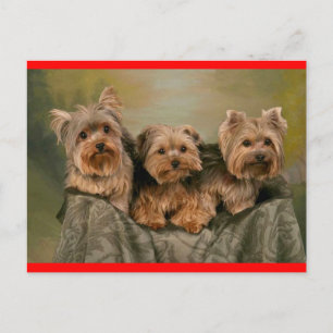 Yorkshire Terrier Puppy Dog Greeting Briefkaart