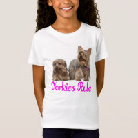 Yorkshire Terrier Puppy Dog Love Yorkkies Girls