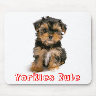 Yorkshire Terrier Puppy Dog Mousepad Muismat