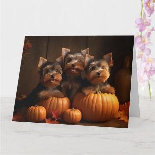 Yorkshire Terrier Puppy Herfst Delight Pompoen Kaart