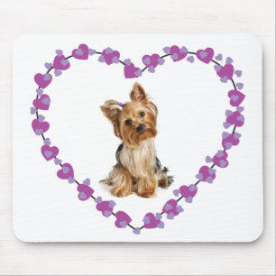 Yorkshire Terrier Puppy Hond Paarse Hartjes Muisma Muismat