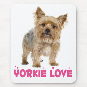 Yorkshire Terrier Puppy Honden Roze Muis Mat Muismat