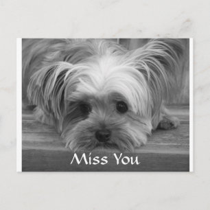 Yorkshire Terrier Puppy Hondenkaart 'Ik Mis Je' Briefkaart