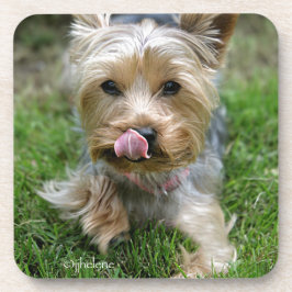 Yorkshire Terrier Puppy - "jjhelene design" Bier Onderzetter
