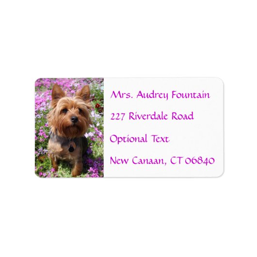 Yorkshire Terrier Puppy Naam Adres Mailing Label (Voorkant)