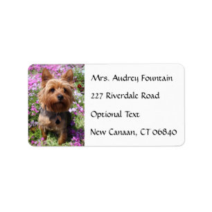 Yorkshire Terrier Puppy name adres postlabel Etiket