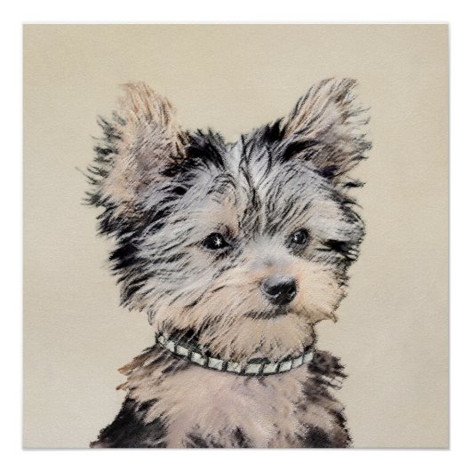 Yorkshire Terrier Puppy Painting Original Dog Art Perfect Poster (Voorkant)