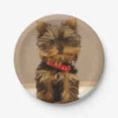 Yorkshire Terrier Puppy Papieren Bordje (Voorkant)