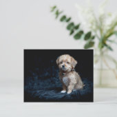 Yorkshire Terrier Puppy Postcard Briefkaart (Staand voorkant)