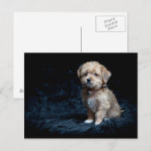 Yorkshire Terrier Puppy Postcard Briefkaart (Voorkant / Achterkant)