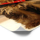 Yorkshire Terrier Puppy Poster (Hoek)