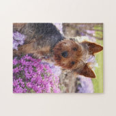Yorkshire Terrier puzzel (Horizontaal)
