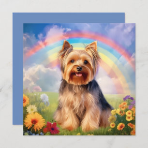 Yorkshire Terrier Rainbow Bridge Yorkie Sympathie