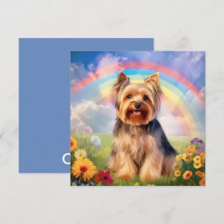 Yorkshire Terrier Rainbow Bridge Yorkie Sympathie