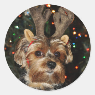 Yorkshire Terrier Ronde Sticker