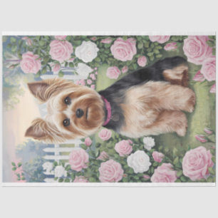 Yorkshire Terrier Roos Tuinschilderij Decoupage Tissuepapier