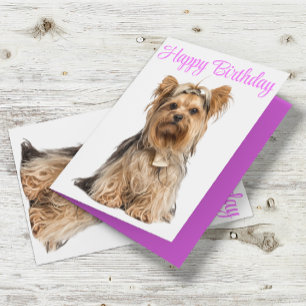 Yorkshire Terrier Roze Cute Yorkie Gefeliciteerd Kaart