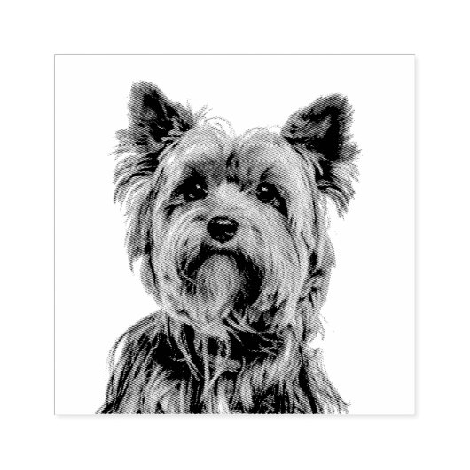 Yorkshire Terrier Rubberstempel (Afrduk)