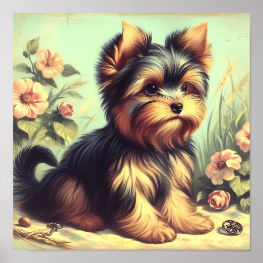 Yorkshire Terrier schilderij Poster (Voorkant)