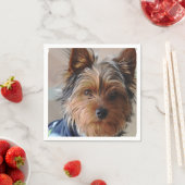 Yorkshire Terrier Servet (Insitu)