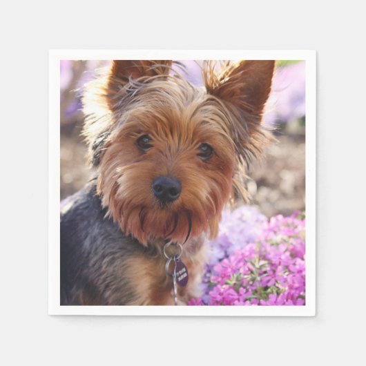 Yorkshire Terrier Servetten (Voorkant)
