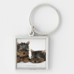 Yorkshire Terrier Sleutelhanger
