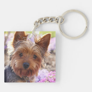 Yorkshire Terrier Sleutelhanger