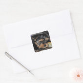 Yorkshire Terrier Square Sticker (Envelop)