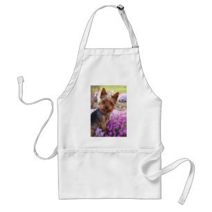 Yorkshire Terrier Standaard Schort