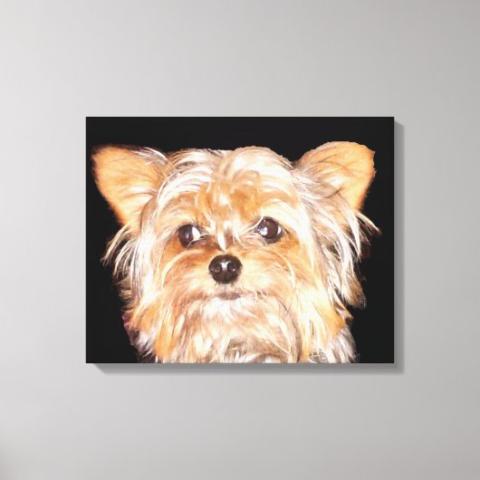 Yorkshire Terrier Stretched Canvas Print (Voorkant)