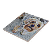 Yorkshire Terrier Tegeltje (Zijkant)