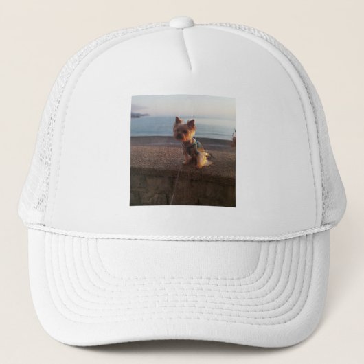 Yorkshire Terrier Trucker Pet (Voorkant)