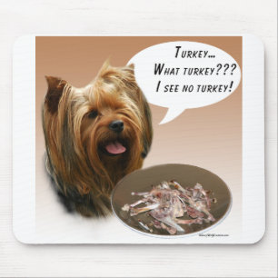 Yorkshire Terrier Turkije Muismat