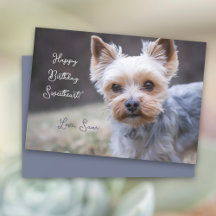 Yorkshire Terrier Verjaardagskaart