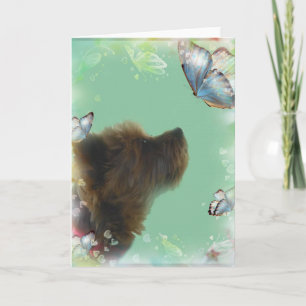 Yorkshire Terrier Wenskaart Kaart
