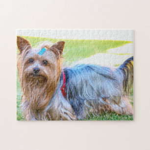 Yorkshire Terrier Yorkie Breed Dog Puppy Legpuzzel