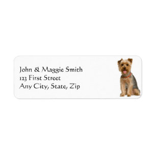 Yorkshire Terrier Yorkie Dog Pet Animal Etiket