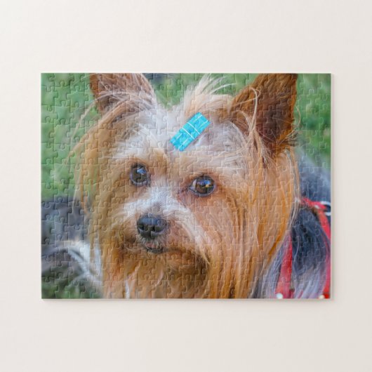 Yorkshire Terrier Yorkie Favorite Breed Legpuzzel (Horizontaal)