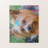 Yorkshire Terrier Yorkie Favorite Breed Legpuzzel (Verticaal)