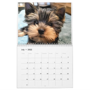 Yorkshire Terrier Yorkies Calendrier 2022