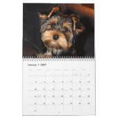 Yorkshire Terrier Yorkies Calendrier 2022 (Jan 2027)