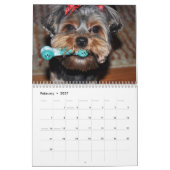 Yorkshire Terrier Yorkies Calendrier 2022 (Feb 2027)