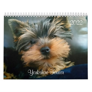 Yorkshire Terrier Yorkies Calendrier 2022