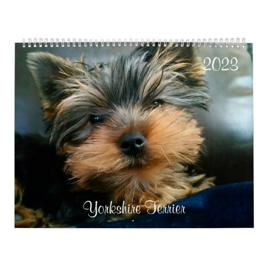 Yorkshire Terrier Yorkies Calendrier 2023 (Protection)
