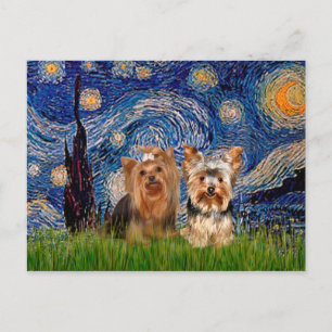 Yorkshire Terriers (7and17) - Sterrennacht Briefkaart