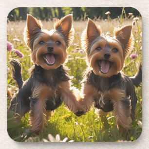 Yorkshire Terriers spelen in het gras Bier Onderzetter