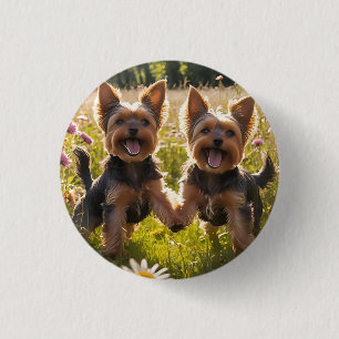 Yorkshire Terriers spelen in het gras Ronde Button 3,2 Cm